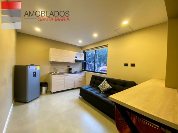 Furnished Apartment in Medellin, In Poblado. AS1190